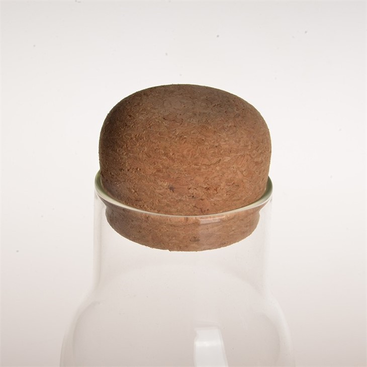Small Glass Food Storage Bottle With Cork Lid