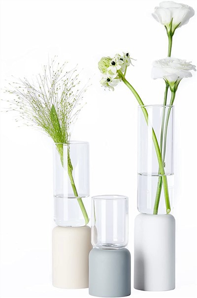 Vaso de vidro transparente minimalista